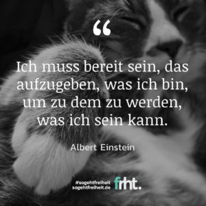 Quote of the Week | „Ich muss bereit sein, das aufzugeben, was ich bin, um zu dem zu werden, was ich sein kann.“ – Albert Einstein